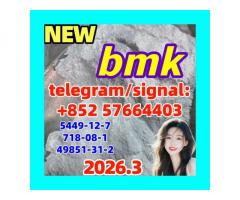 5449-12-7 BMK Glycidic Acid powder