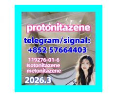 Protonitazene hydrochloride | 119276-01-6  opioid  Isotonitazene