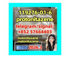 protonitazene 119276-01-6 - 质子氮烯  opioid  Isotonitazene