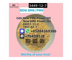 Hot Sale New BMK Power CAS 5449-12-7/5413-05-8