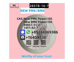 High Quality CAS 28578-16-7/52190-28-0 New PMK Ethyl Glycidate