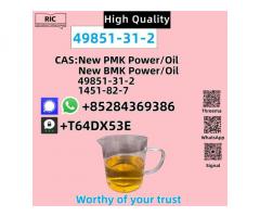 2-Bromovalerophenone 49851-31-2 BMK PMK Source Factory