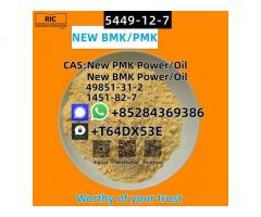 5449-12-7 New BMK Glycidic Acid Powder