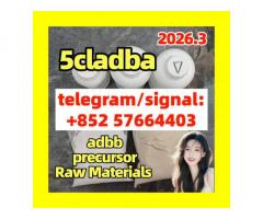 adbb 5fadb 5cl-adb-a 5cladb Good supplier Chart by 5cladba adbb 5fadb 5f-adb 5cladb