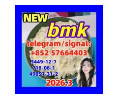 Factory Price CAS 5449-12-7 BMK powder in Stock -