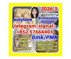opioid PMK bmk eutylone benzodiazepines bromazolam protonitazene 5cladba raw materials
