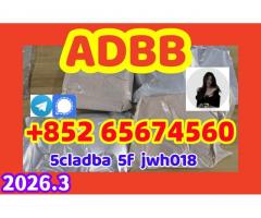 strongest adbb 5cladba gjhnthyjmyjhmhu