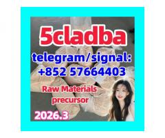 5cladba Original Product Name 5clAdba Synonyms 5clAdba CAS NO. 137350-66-4 Purity Above 99