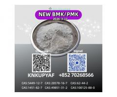 High Purity P.M.K Oil CAS 28578-16-7 for Direct Manufacturer