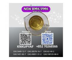 High Purity B.M.K Powder CAS 5449-12-7 for Direct Manufacturer