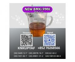 High-Grade P M K Oil (CAS 28578-16-7) | Manufacturer Price