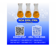 High Purity B. M. K Powder CAS 5449-12-7 for Direct Manufacturer