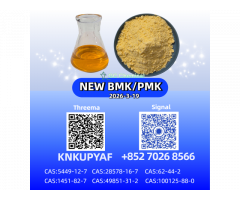 New P.M.K -28578-16-7 And 1451-82-7 And B.M.K 5449-12-7