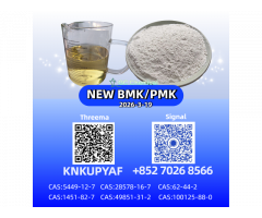 In Stock 28578-16-7 BMK Powder/Oil CAS 5449-12-7