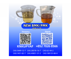 NEW PMK 28578-16-7 BMK Powder/Oil CAS 5449-12-7