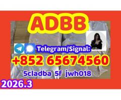 strongest adbb 5cladba precurfdhnfgjnghmnghm