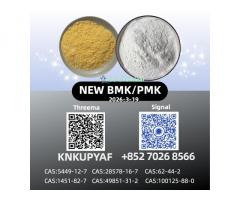 New P.M.K Oil CAS 28578-16-7 Direct Manufacturer 5449-12-7 Chemical Raw Material