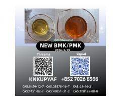 P.M.K Oil (CAS 28578-16-7) | 5449-12-7 Trusted Chemical Supplier High-Grade