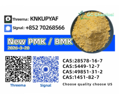 28578-16-7 P.MK Bulk Stock CAS 5449-12-7B.MK Powder Oil