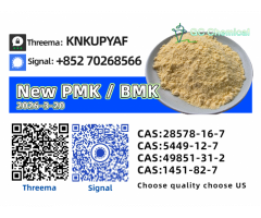 New P.M.K Oil CAS 28578-16-7 Direct Manufacturer 5449-12-7 Chemical Raw Material