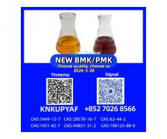 PM.K 28578-16-7 Powder Immediate Shipment CAS 5449-12-7 B.MK
