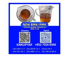 Hot sailing CAS 28578-16-7 P.MK Oil 5449-12-7 B.MK