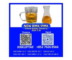 New P.M.K Oil CAS 28578-16-7 Direct Manufacturer 5449-12-7 Chemical Raw Material