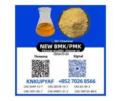 Bulk Stock 28578-16-7 P.M.K CAS 5449-12-7 New B..M.K Powder Oil