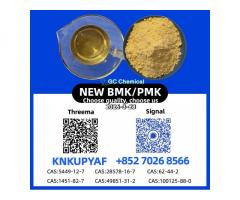 Stock Supply 28578-16-7 P.M.K B.M.K CAS 5449-12-7 New Powder/Oil