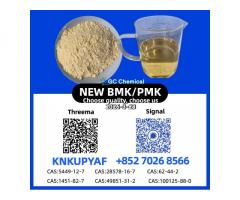 Direct Manufacturer New 28578-16-7 P.MK 5449-12-7 Chemical Raw Material