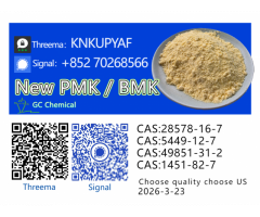 High-Quality P M K Oil CAS 28578-16-7 | Premium Supplier