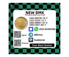 Direct Manufacturer 5449-12-7 New B.MK Powder