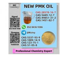 Chemical Safe Delivery CAS 28578-16-7 P.MK Oil