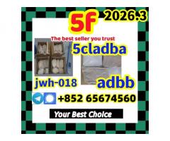 strongest adbb 5cladba precurso trhtyjytuj