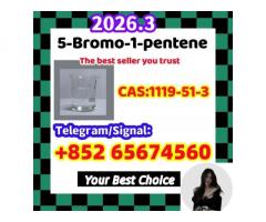 5-Bromo-1-pentene CAS 1119-51-3  weryrtuhtyiyuik