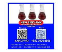 PM.K Oil 28578-16-7 & BM.K Powder 5449-12-7 Bulk Manufacturer