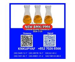Bulk Supply PM.K CAS 28578-16-7 & BM.K 5449-12-7 Powder