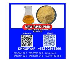CAS 5449-12-7 BM.K Powder | PM.K 28578-16-7 Oil Manufacturer