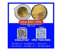 PM.K CAS 28578-16-7 & BM.K CAS 5449-12-7 | Global Export