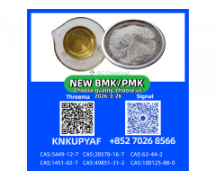 High-Grade P M K Oil (CAS 28578-16-7) | Manufacturer Price