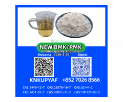 28578-16-7 P.MK Ready Stock Supply B.MK CAS 5449-12-7 Powder/Oil