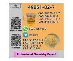 In-house Production Facility CAS 49851-31-2 B.MK