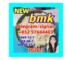 CAS 5449-12-7 BMK Glycidic Acid (sodium salt) 99.9% Purity CAS 5449-12-7