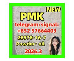 PMK ethyl glycidate (NSC 195099, CAS Number: 28578-16-7) |