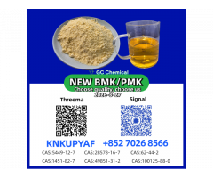 B.M.K And 1451-82-7 New P.M.K 28578-16-7 And 49851-31-2