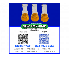 New P.M.K 28578-16-7 And 1451-82-7 And B.M.K 5449-12-7...