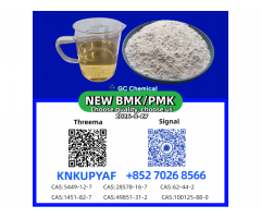 B.M.K 49851-31-2 New 1451-82-7 And P.M.K 28578-16-7.....