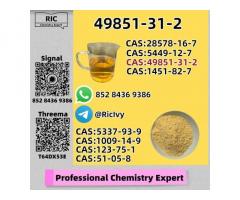 Premium Quality 49851-31-2 New B.MK Power CAS 5449-12-7