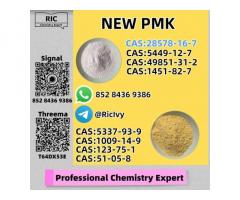 High-End Quality PM.K CAS 28578-16 -7
