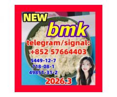 cas 5449-12-7 BMK Powder glycidate Bmk Glycidic Acid - Hong Kong